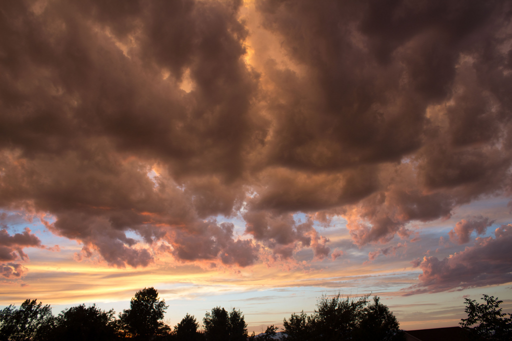 7695512878_3b7dc2beb9_b