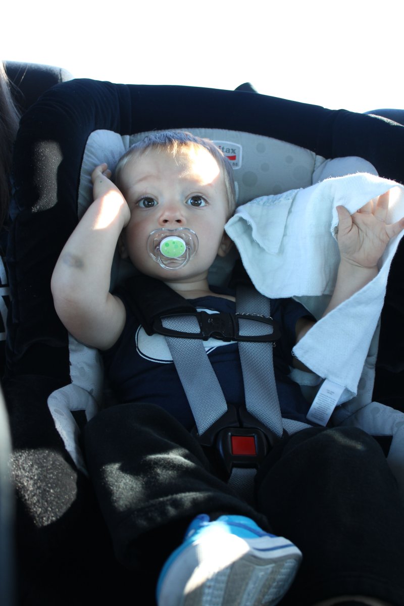 A few fellow travelers on this fun road trip